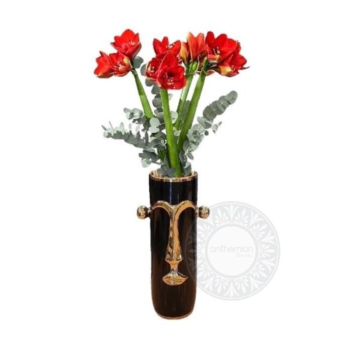 Amaryllis in a vase shaped like a face