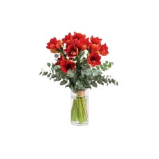Red Amaryllis with Eucalyptus | WUTHOUT A VASE
