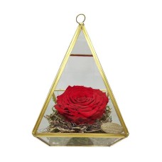 Forever Rose in a pyramid container (XL size)