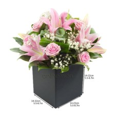 The arrangement of expectation (Basic)