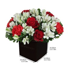 Cube With Alstroemerias And Roses (Basic)