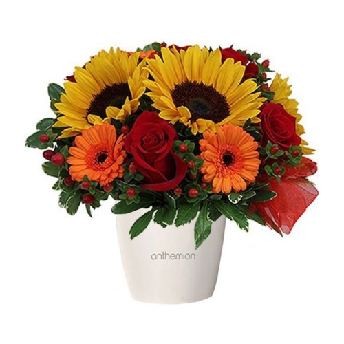 Sunflowers and Roses in Pot (Basic)