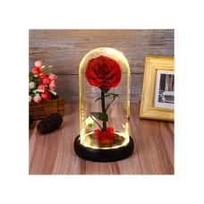 Festive Forever Rose With Led Lights (Medium Size)
