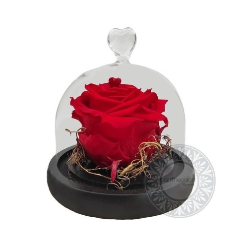 Forever Rose in mini glass