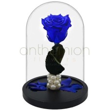 Blue Forever Rose (Medium size)