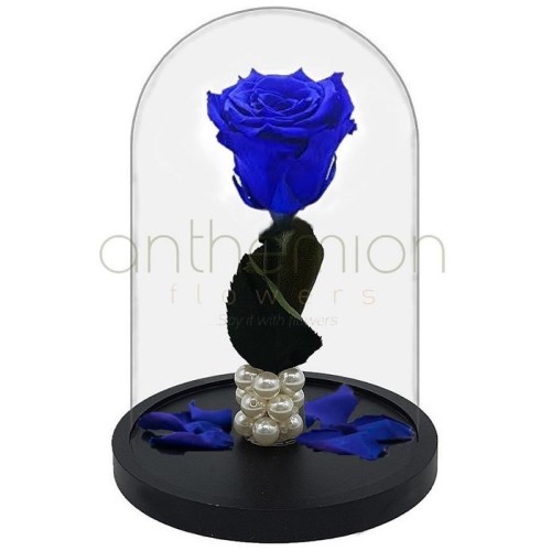 Blue Forever Rose (Medium size)
