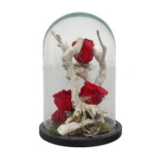 Glass Luxury Forever Rose Arrangement (Basic)