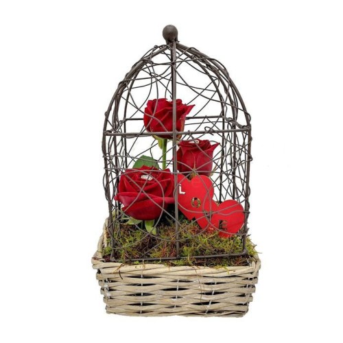 Love roses in a cage (Special)