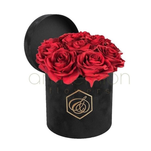 Black velvet box with 10 red roses