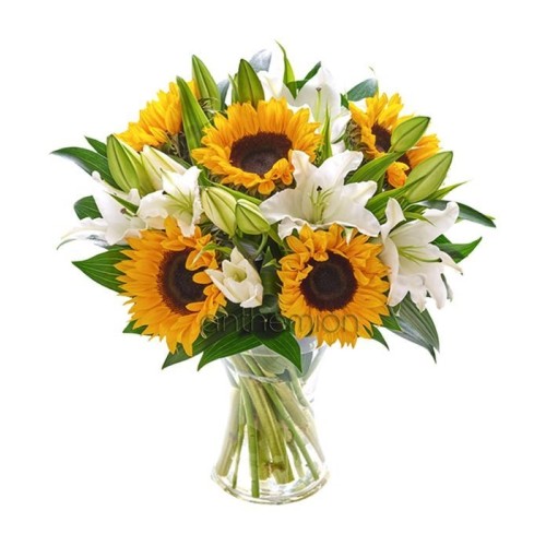 Charming sunflowers