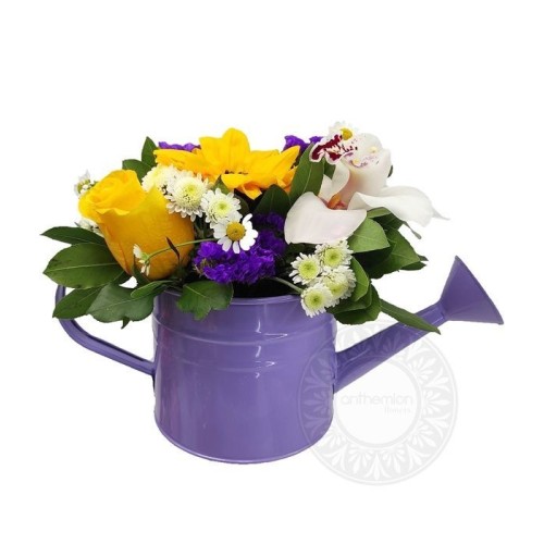 Funky watering can