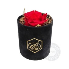 Red Forever rose in box