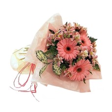 Pink alstromerias and gerberas (Basic)