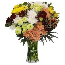 Seasonal memories with chrysanthemums (Basic)