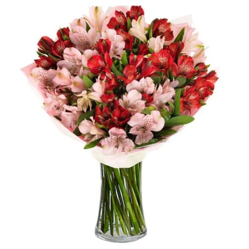 Red and pink alstromerias (Basic)