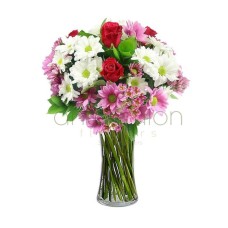 Philanthia with chrysanthemums (Basic)