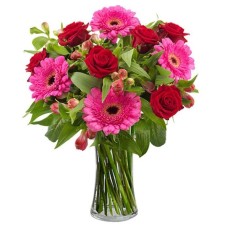 Fuchsia, pink and red flowers (Basic)
