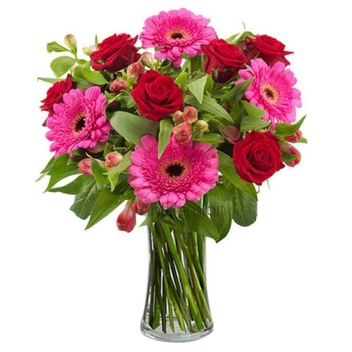 Fuchsia, pink and red flowers (Basic)