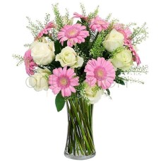 Ismene with white roses and pink gerberas (Basic)