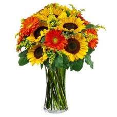 Bouquet of sunflowers, solidago and gerberas (Basic)