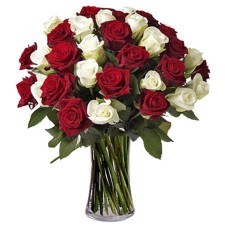Bouquet of red and white roses