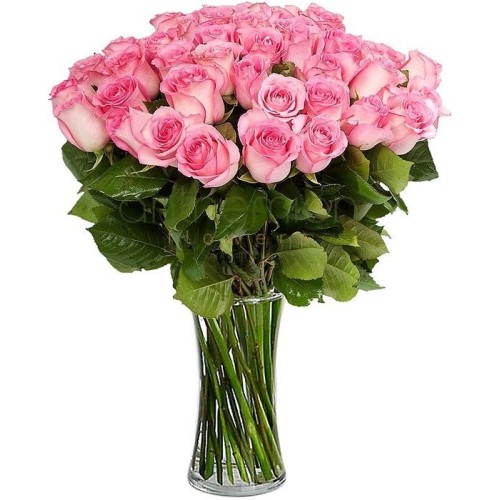 Bouquet of 80 pink roses