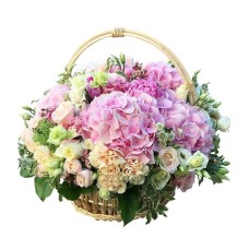Roses and hydrangea in basket (Basic)