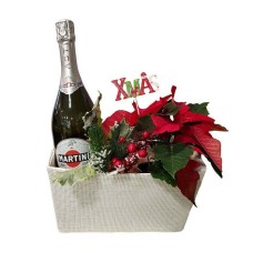 Poinsettia Plant With Asti Martini Sparkling Wine
