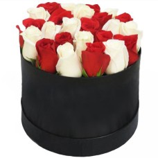 Rose Delight
