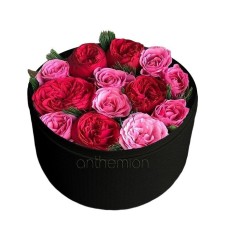 Red and pink roses in black box (Basic)