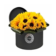 Sunflowers in black box (Basic)