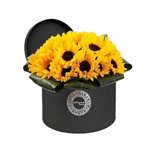 Sunflowers in black box (Basic)