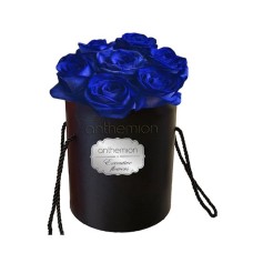 Stunning blue roses in box