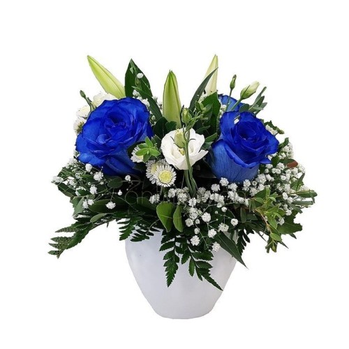 Blue dream with blue roses