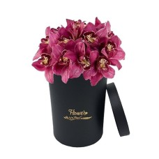 Exotic orchids in black box (Basic)