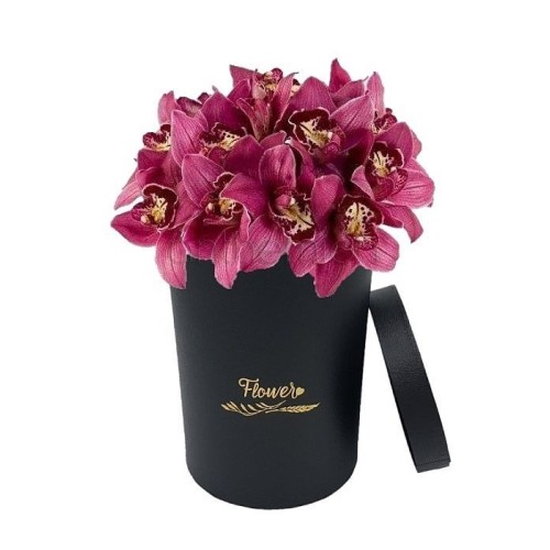 Exotic orchids in black box (Basic)