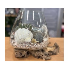 Cognac glass vase with succulents