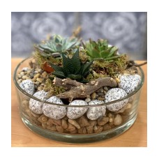 Succulents in a glass bowl with pebbles