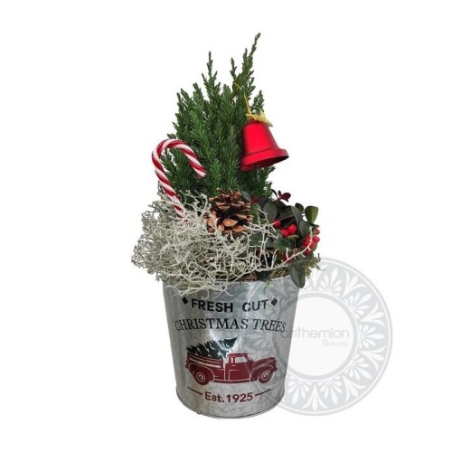 Festive decorative metal bucket with plants