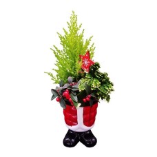 Santa Plant Arrangement