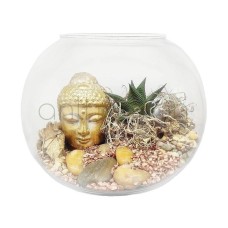 Decorative fishbowl with succulent