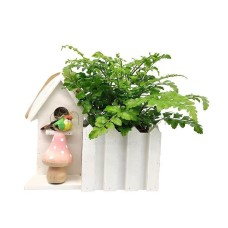Wooden house with green plant