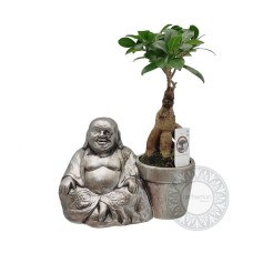 Bonsai and Buddha