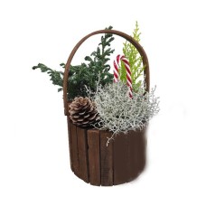 Wooden basket plant arrangement