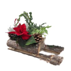 Wooden sleigh plant arrangement