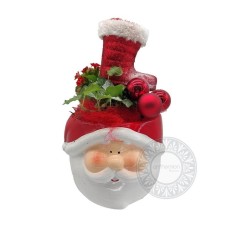 The plants of Santa Claus