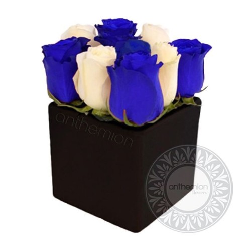 Blue and white roses in a cube (Basic)