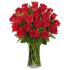 Bouquet of 24 red roses