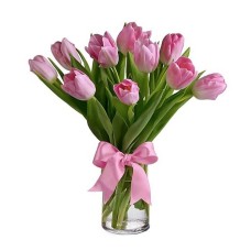 Pink tulips in glass vase