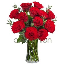 Bouquet of 12 red roses (Basic)